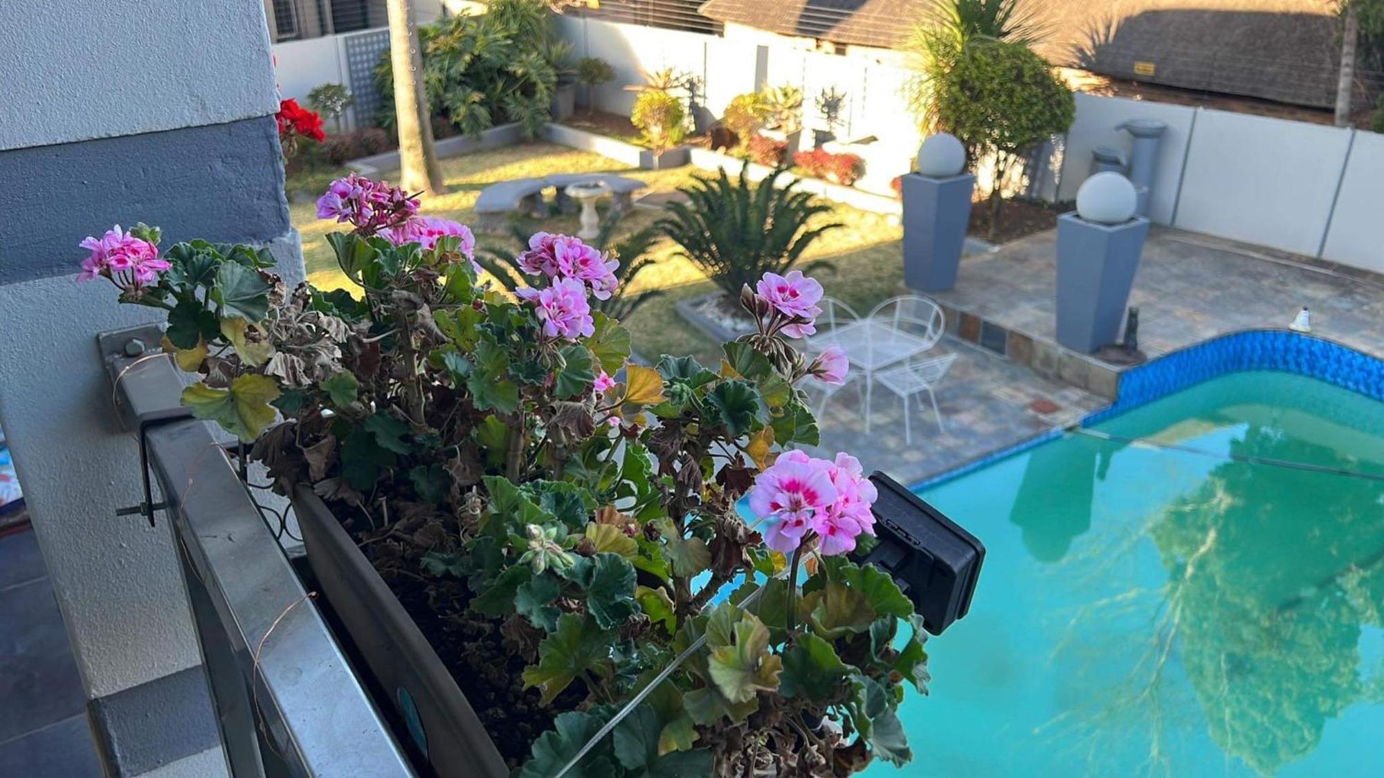 2 Op Terblanche Guesthouse Boksburg Kültér fotó